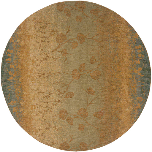 Oriental Weavers Infinity Blue/Beige Floral 1125B Area Rug